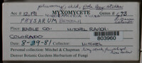 Image Associated With the Occurence
